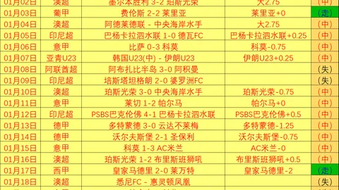梁靖崑与费利克斯·勒布伦激战世乒联冠军赛男单1／4决赛精彩瞬间