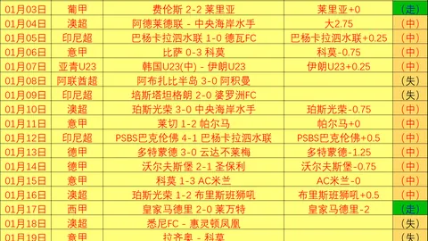 BB贝博艾弗森体育